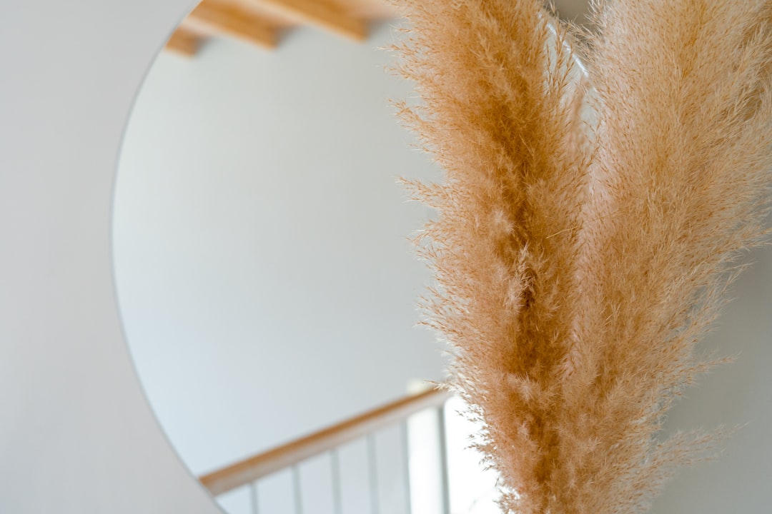 Create a Cozy Home with Affordable Finds from TimberNests
